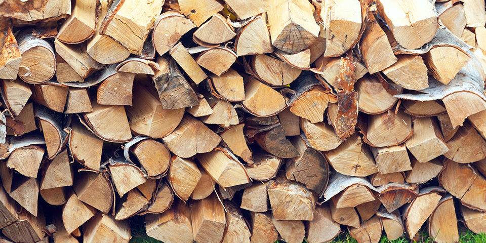 Jakie drewno do kominka wybrać
